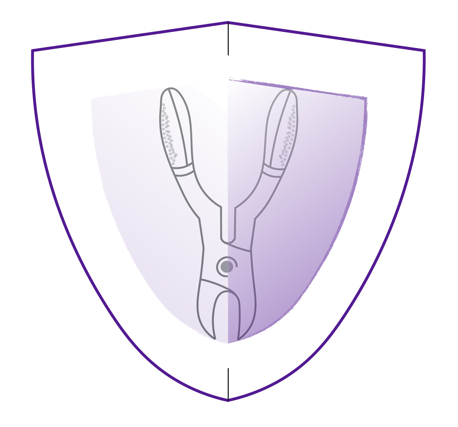 ToothShield_Low